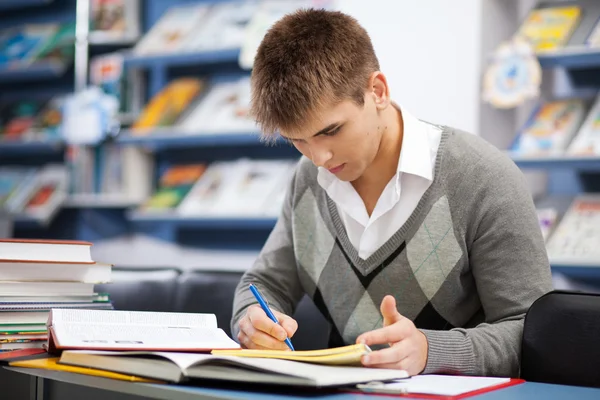 Как написать гипотезу исследования дипломной работы