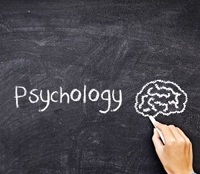 Заказать курсовую работу по экспериментальной психологии