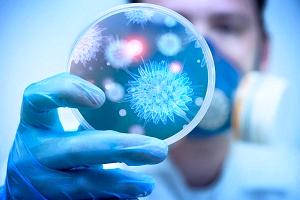 Заказать курсовую работу по эпидемиологии